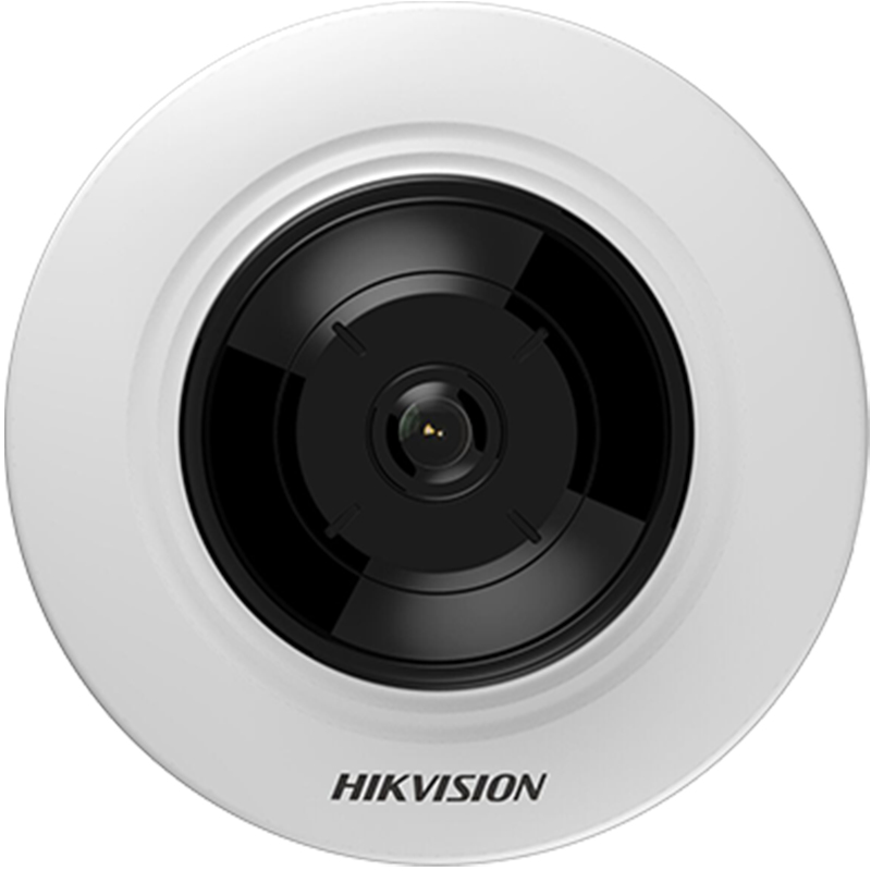 Hikvision DS-2CD2955FWD-IS 5mp 1.05 Mm Ip Fisheye 